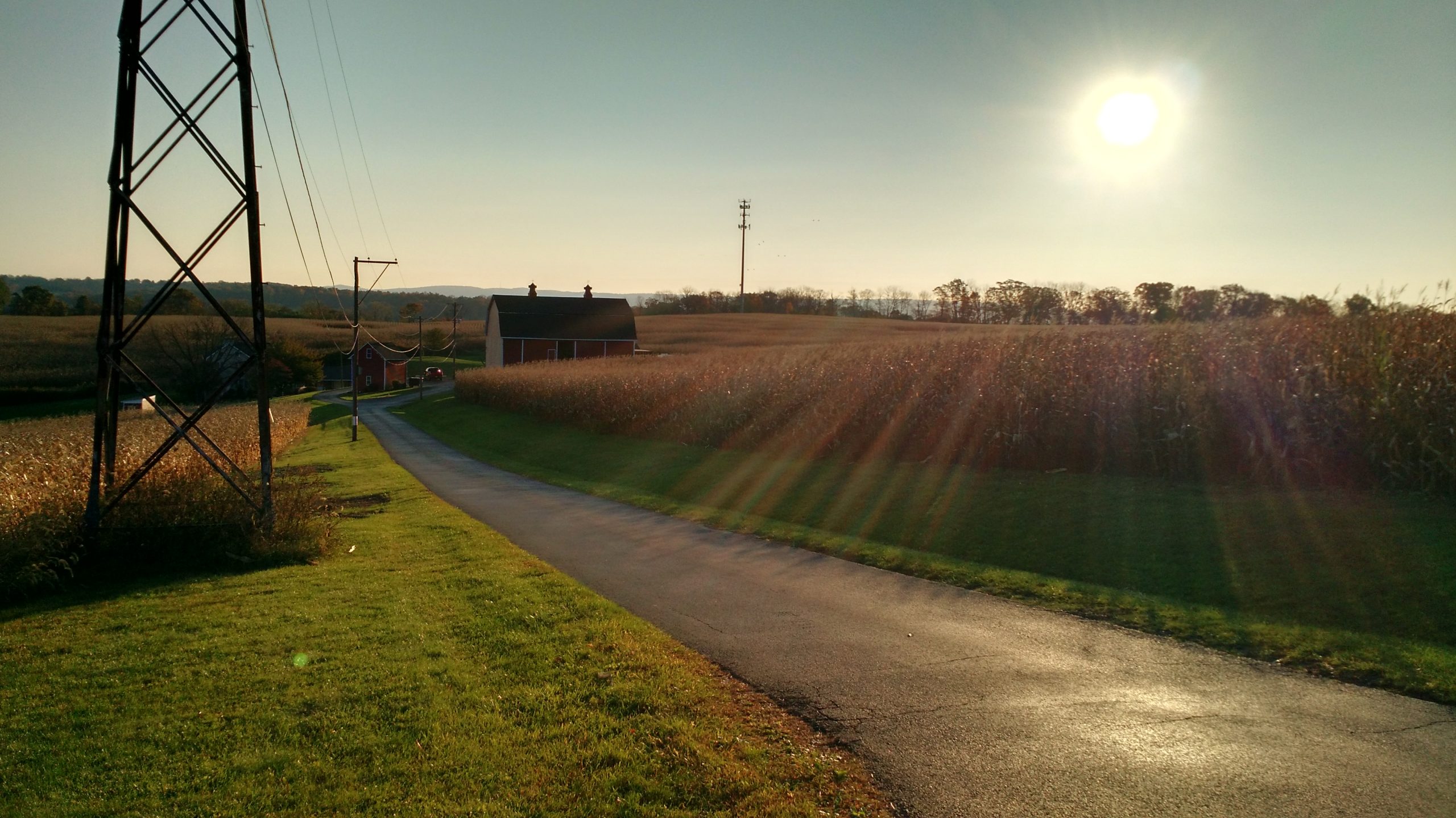 farm